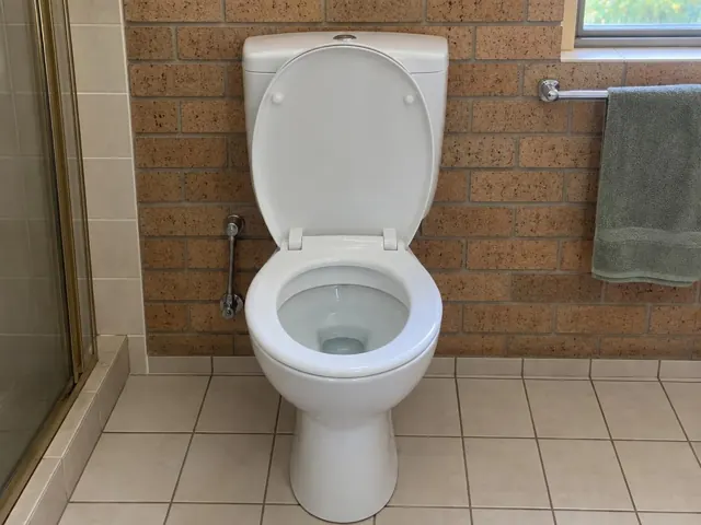 Clean white toilet in a tiled bathroom with brick wall and shower screen in Davidson